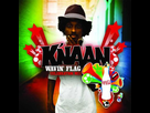 https://image.noelshack.com/fichiers/2021/20/4/1621540923-knaan-fefe-waving-flag.jpg