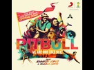 https://image.noelshack.com/fichiers/2021/20/4/1621541063-4773-pitbull-feat-jennifer-lopez-claudia-leitte-pochette-single-we-are-one-ole-ola.jpg