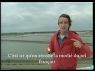 https://image.noelshack.com/fichiers/2021/21/3/1622027725-f33ce96c-6fcb-4804-95d7-f481e39ef0a2.jpeg
