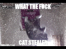 https://image.noelshack.com/minis/2021/21/3/1622062880-image1-2.png