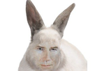 https://image.noelshack.com/fichiers/2021/21/4/1622076941-jesus-quintero-lapin.jpg