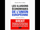 https://image.noelshack.com/fichiers/2021/21/5/1622165181-couverture-livre-lesillusionseconomiquesdelunioneruopeenne-charles-henri-gallois.jpg