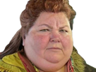 https://image.noelshack.com/fichiers/2021/21/5/1622211629-graloy2.png