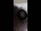 https://image.noelshack.com/fichiers/2021/21/5/1622224375-screenshot-20210528-195249-gallery.jpg