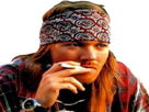 https://image.noelshack.com/fichiers/2021/21/6/1622249112-1618950918-axlrose3.png