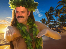 https://image.noelshack.com/fichiers/2021/21/6/1622311281-risihawaii.png