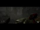 https://image.noelshack.com/fichiers/2021/21/6/1622314803-ultrawide-1.jpg