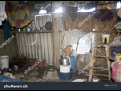 https://image.noelshack.com/fichiers/2021/21/7/1622332404-stock-photo-mumbai-india-september-inside-view-of-slum-hut-in-malvani-slum-at-malvani-slum-in-541809781.jpg