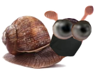 https://image.noelshack.com/fichiers/2021/21/7/1622354707-escargot.png