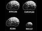 https://image.noelshack.com/fichiers/2021/22/3/1622659252-racist-brain.jpg