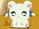 https://image.noelshack.com/fichiers/2021/22/4/1622746483-hamtaro6.jpg