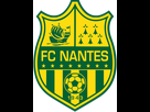 https://image.noelshack.com/fichiers/2021/22/5/1622803913-1200px-logo-fc-nantes-2008-svg.png