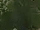 https://image.noelshack.com/fichiers/2021/23/2/1623157354-2-rljfjd5w.gif