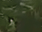 https://image.noelshack.com/fichiers/2021/23/2/1623157354-3-rljfjd5w.gif