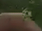 https://image.noelshack.com/fichiers/2021/23/2/1623157354-5-rljfjd5w.gif