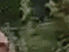 https://image.noelshack.com/fichiers/2021/23/2/1623157354-8-rljfjd5w.gif