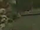 https://image.noelshack.com/fichiers/2021/23/2/1623157354-9-rljfjd5w.gif