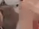 https://image.noelshack.com/fichiers/2021/23/2/1623157355-21-rljfjd5w.gif