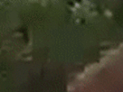 https://image.noelshack.com/fichiers/2021/23/2/1623157355-4-rljfjd5w.gif