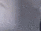 https://image.noelshack.com/fichiers/2021/23/2/1623157388-35-rljfjd5w.gif