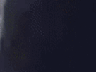 https://image.noelshack.com/fichiers/2021/23/2/1623157388-36-rljfjd5w.gif