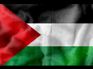 https://image.noelshack.com/fichiers/2021/23/5/1623441795-palestine-flag-01.jpg