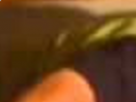 https://image.noelshack.com/fichiers/2021/24/3/1623854622-13-k3ommhu1.png