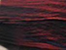 https://image.noelshack.com/fichiers/2021/24/3/1623872767-15-u9fuqqfl.png