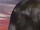 https://image.noelshack.com/fichiers/2021/24/3/1623872767-5-u9fuqqfl.png