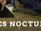 https://image.noelshack.com/fichiers/2021/24/4/1623890078-19-f2o8jotm.png