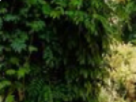 https://image.noelshack.com/fichiers/2021/24/5/1623984093-17-ta1zt0gl.png