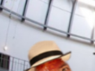 https://image.noelshack.com/fichiers/2021/24/5/1624029255-13-9xtcrgxz.png