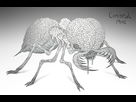 https://www.noelshack.com/2021-24-7-1624186439-cerebral-ant-homebrew-dnd-psionic-creature-design-b-w-zipou-shin-2021.png