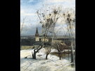 https://image.noelshack.com/fichiers/2021/25/2/1624394777-800px-rooksbackofsavrasov.jpg