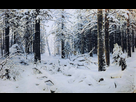 https://image.noelshack.com/fichiers/2021/25/2/1624395038-ivan-shishkin-winter.jpg