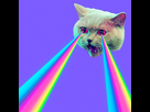 https://image.noelshack.com/fichiers/2021/25/3/1624455411-depositphotos-234889490-stock-photo-evil-cat-rainbow-lasers-eyes.jpg