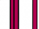 https://image.noelshack.com/fichiers/2021/25/5/1624602319-10-rmm6z1p6.png