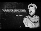 https://image.noelshack.com/fichiers/2021/25/6/1624682466-aurele.png