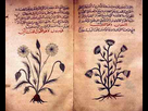 https://image.noelshack.com/fichiers/2021/25/6/1624697489-arabic-herbal-medicine-guidebook.jpg