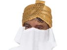 https://image.noelshack.com/fichiers/2021/25/7/1624814780-turban-jesus.png