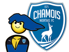 https://image.noelshack.com/fichiers/2021/26/2/1624937712-1492708324-chamois-maitre-course.png