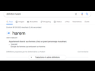 https://image.noelshack.com/fichiers/2021/26/2/1624975233-harem.png
