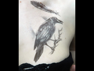 https://image.noelshack.com/fichiers/2021/26/2/1624988330-the-raven-fake-tattoo-s.jpg