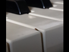 https://image.noelshack.com/fichiers/2021/26/5/1625249168-drosophila-melomanegaster.png