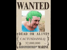 https://image.noelshack.com/fichiers/2021/26/5/1625256973-primejvc-cactusdanslq.jpg