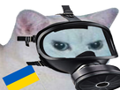 https://image.noelshack.com/fichiers/2021/26/6/1625341348-chat-blanc-ukraine.png