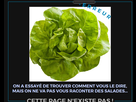 https://image.noelshack.com/fichiers/2021/26/7/1625386616-image.png
