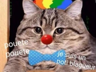 https://image.noelshack.com/fichiers/2021/27/2/1625588208-1558822781-hqdefault-01.jpg