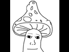 https://image.noelshack.com/fichiers/2021/27/3/1625670088-1625668685-covershroomwoj-2.jpg