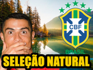 https://image.noelshack.com/fichiers/2021/27/4/1625695482-selecao-natural.png